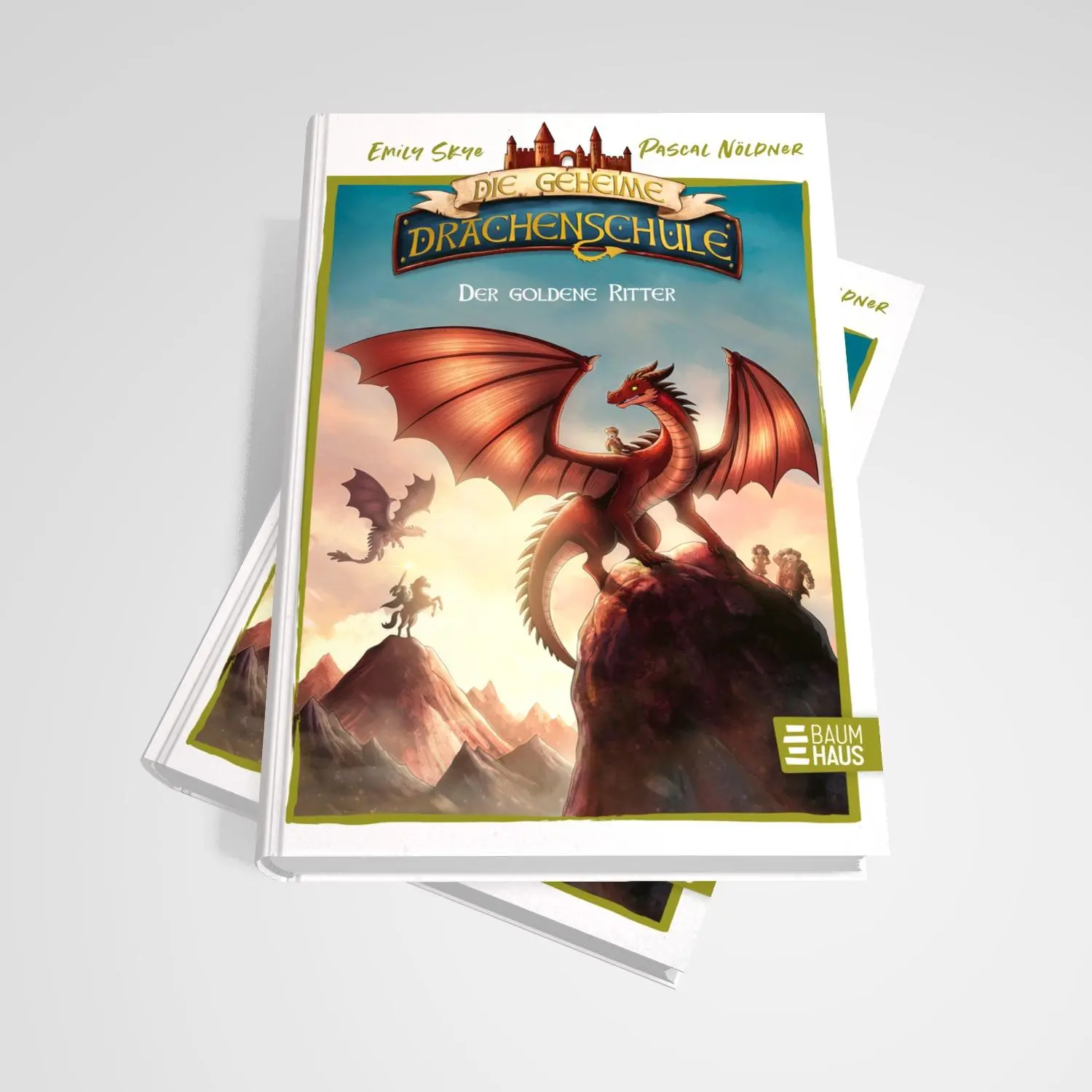 Bild: 9783833909900 | Die geheime Drachenschule - Der goldene Ritter | Emily Skye | Buch