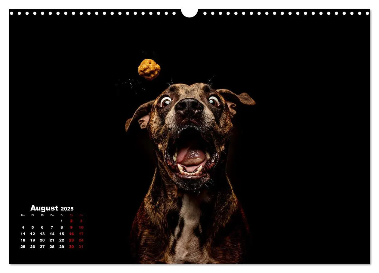 Bild: 9783457200001 | Leckerchen! (Wandkalender 2025 DIN A3 quer), CALVENDO Monatskalender