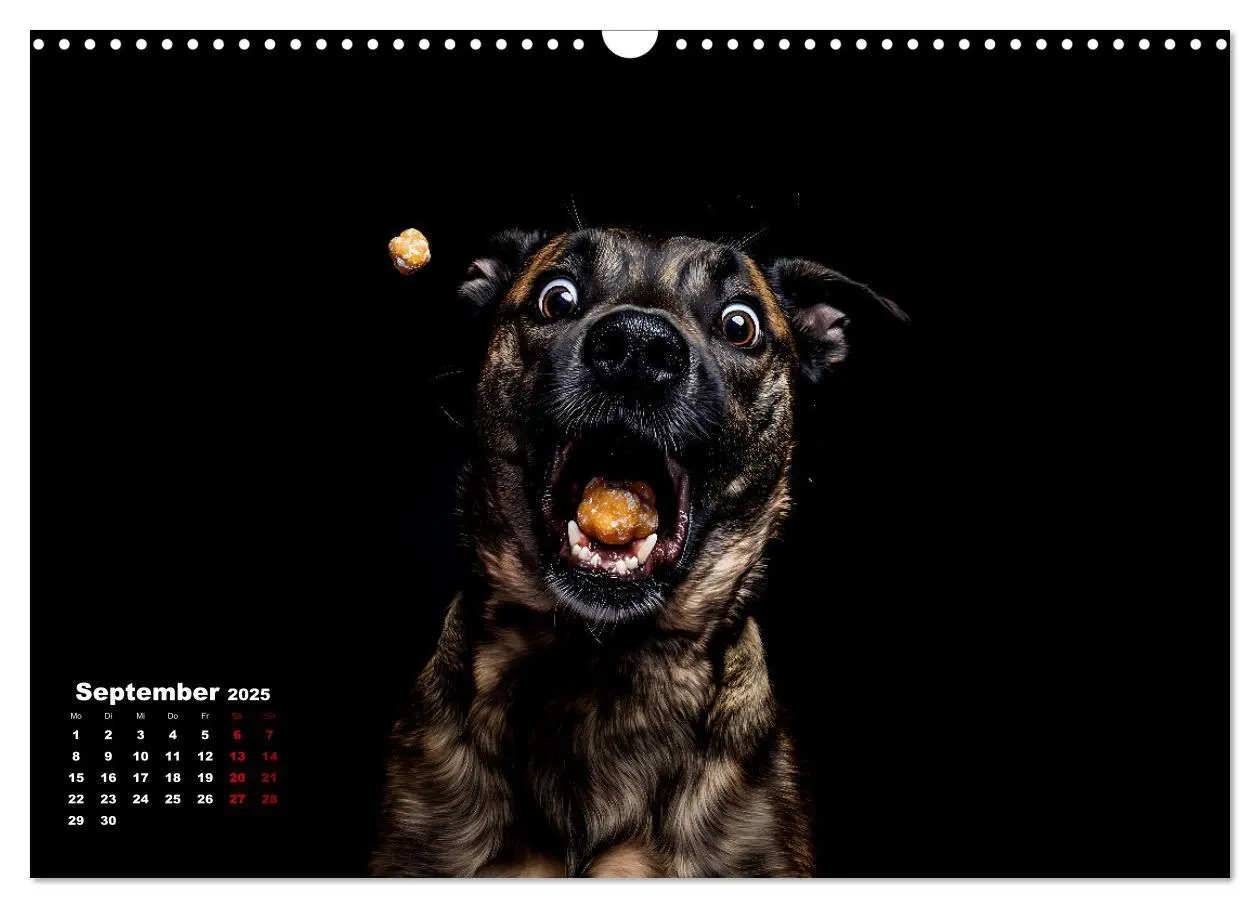 Bild: 9783457200001 | Leckerchen! (Wandkalender 2025 DIN A3 quer), CALVENDO Monatskalender