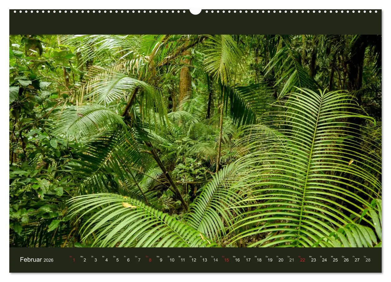 Bild: 9783516150001 | Australien - Farbige Vielfalt (hochwertiger Premium Wandkalender...