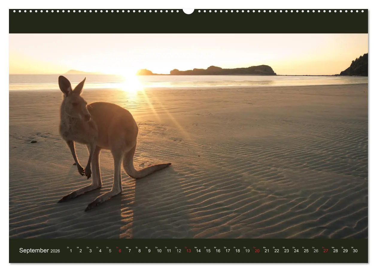 Bild: 9783516150001 | Australien - Farbige Vielfalt (hochwertiger Premium Wandkalender...