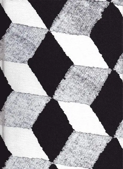 Cover: 9783709200001 | Gizmo | Passagen Kunst | Ida Marie/Mayer, Christian Hede | Taschenbuch