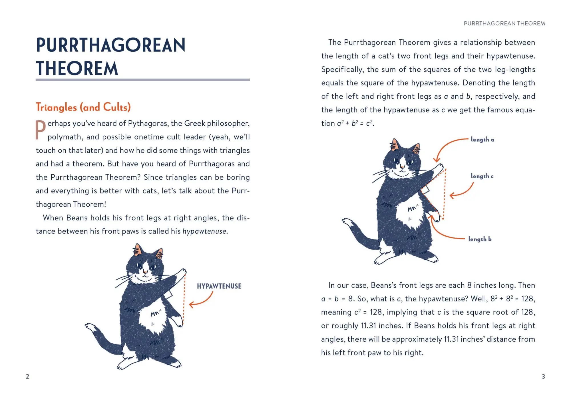 Bild: 9798894140001 | Math Cats | Scratching the Surface of Mathematical Concepts | Look