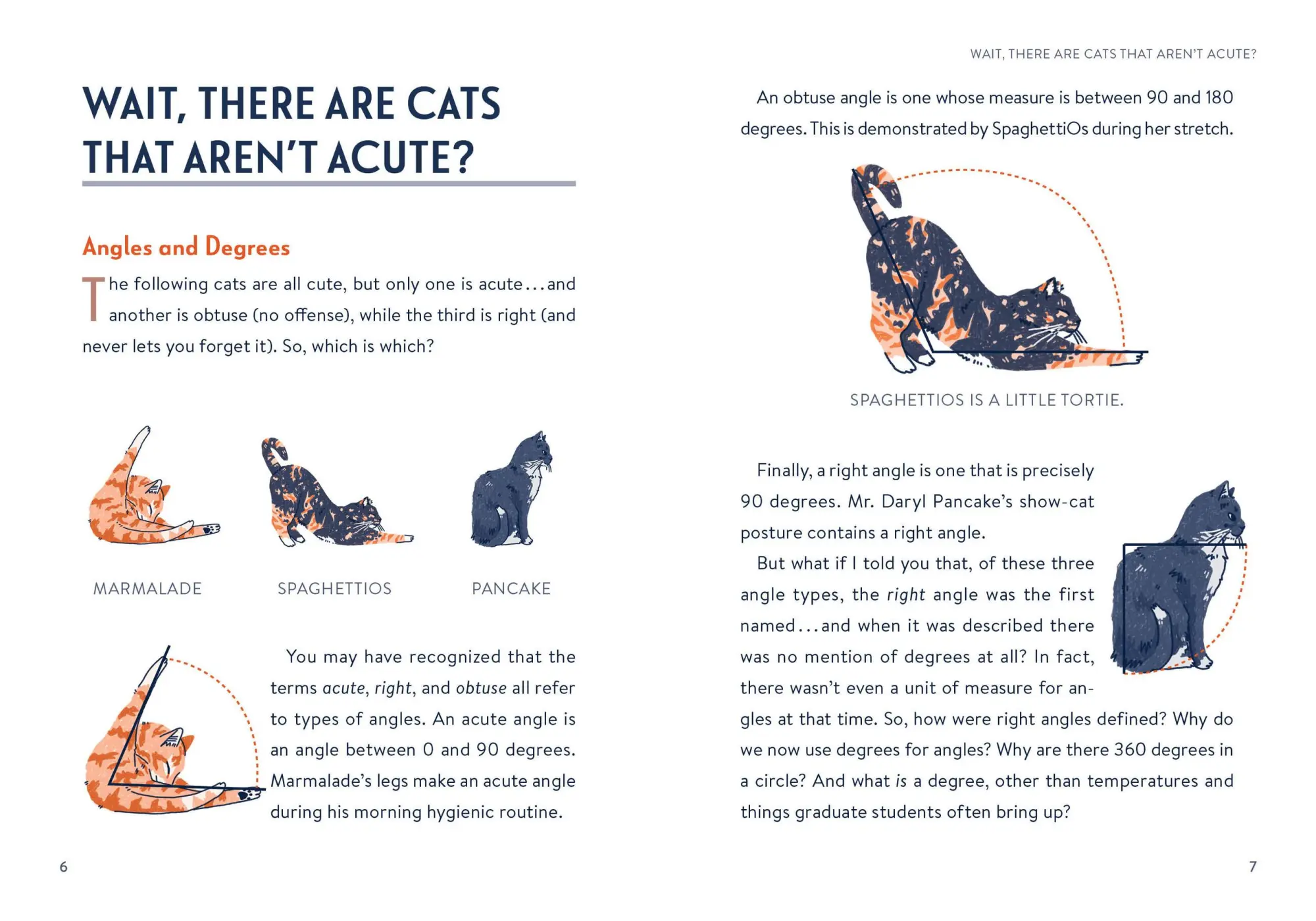 Bild: 9798894140001 | Math Cats | Scratching the Surface of Mathematical Concepts | Look