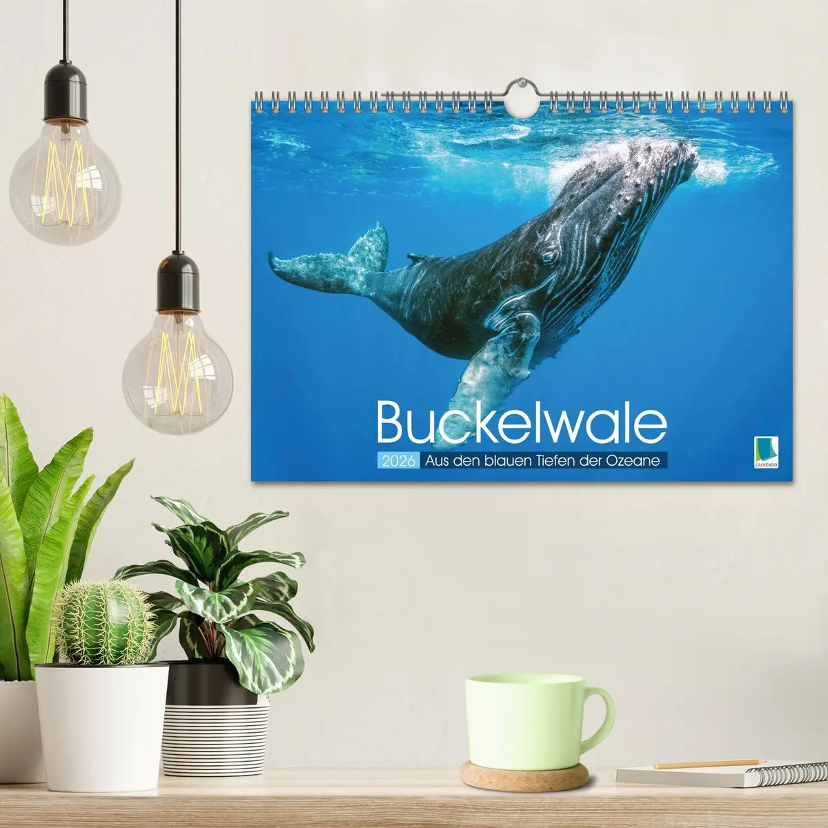 Bild: 9783457290101 | Buckelwale: Aus den blauen Tiefen der Ozeane (Wandkalender 2026 DIN...