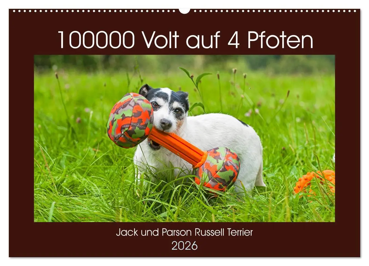 Cover: 9783457810101 | 100000 Volt auf vier Pfoten - Jack und Parson Russell Terrier...