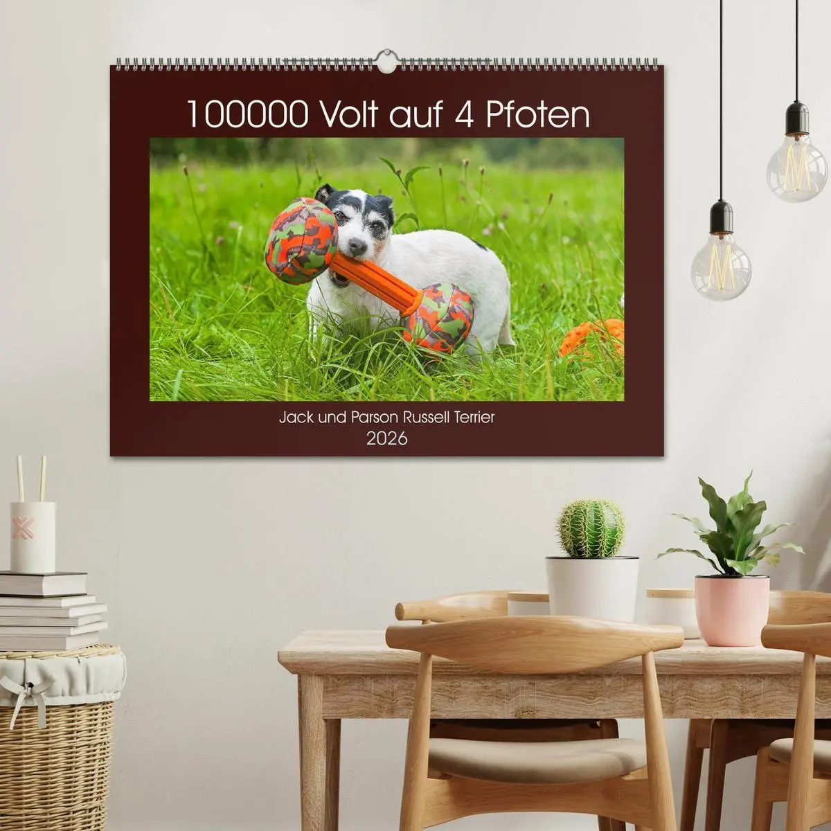 Bild: 9783457810101 | 100000 Volt auf vier Pfoten - Jack und Parson Russell Terrier...