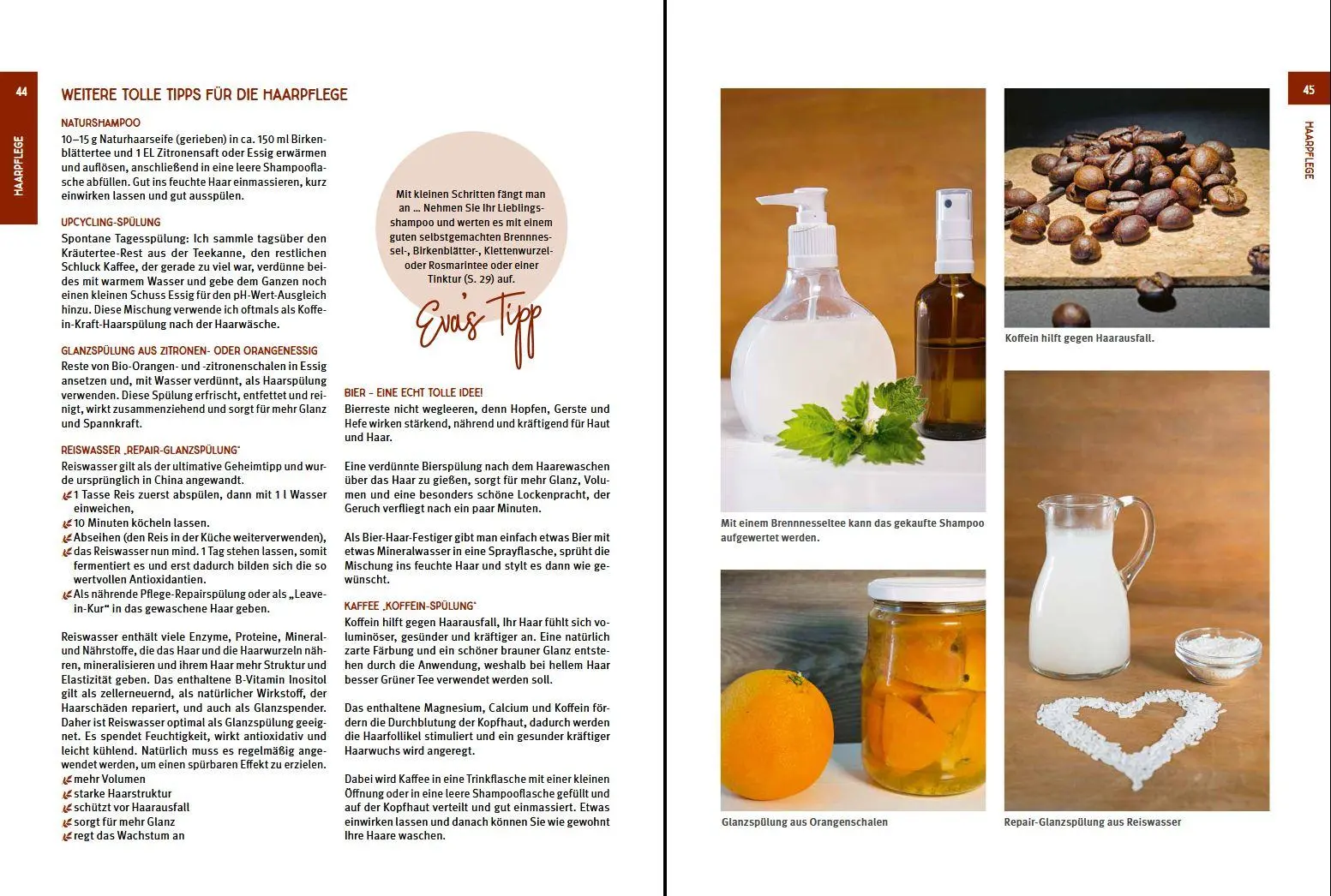 Bild: 9783702020101 | Kräuter Kosmetik | Natürlich schön von Kopf bis Fuß | Eva Tragner