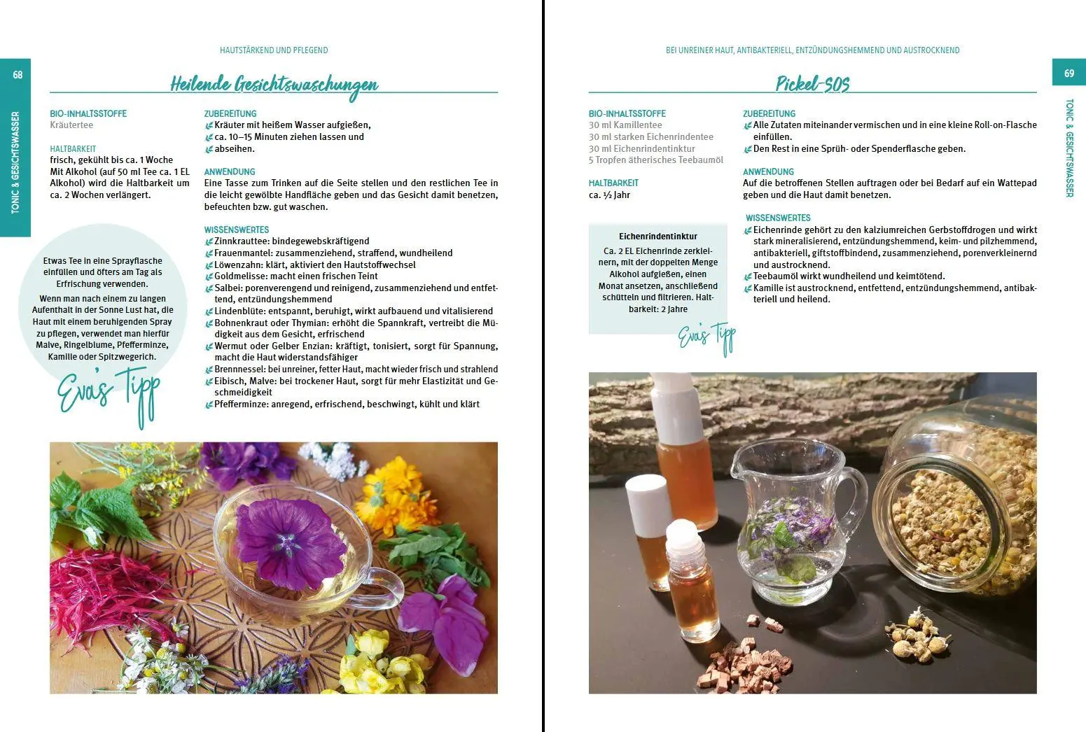 Bild: 9783702020101 | Kräuter Kosmetik | Natürlich schön von Kopf bis Fuß | Eva Tragner