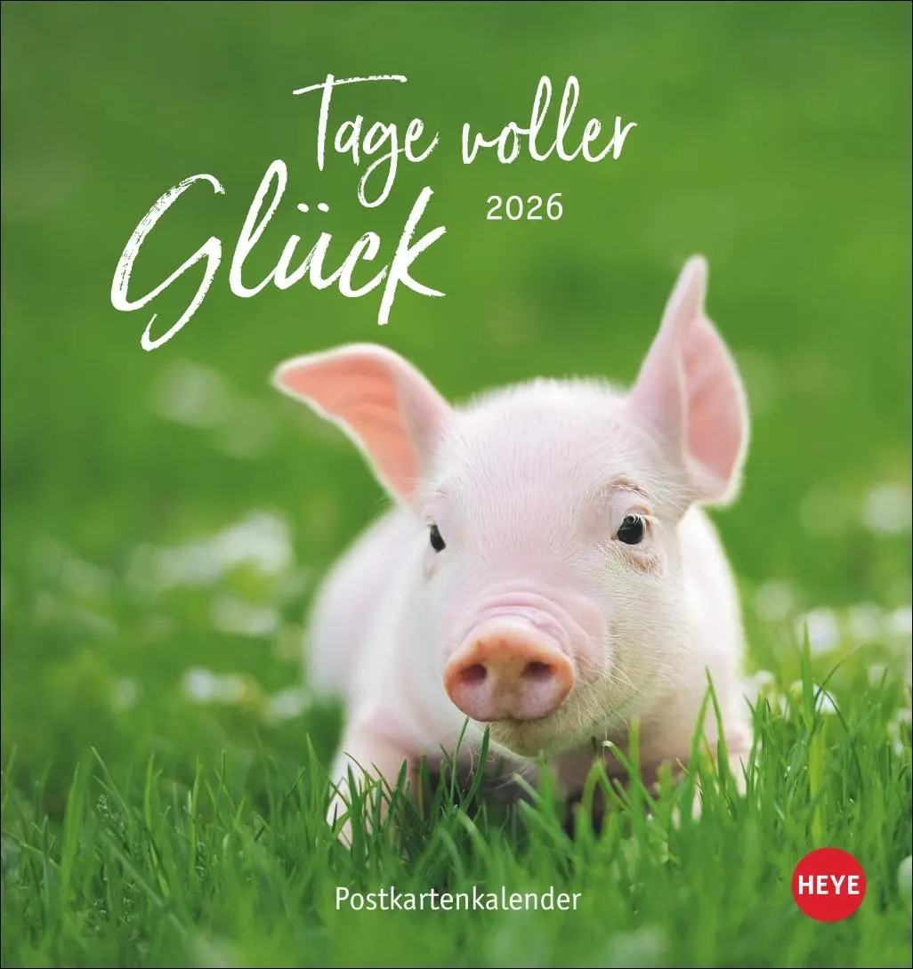 Cover: 9783756410101 | Tage voller Glück Postkartenkalender 2026 | Heye | Kalender | 13 S.