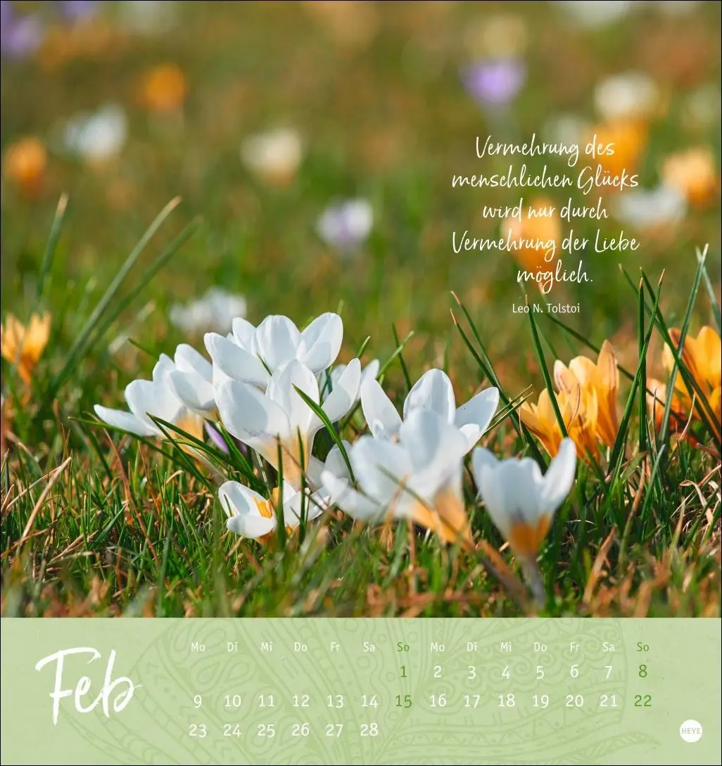Bild: 9783756410101 | Tage voller Glück Postkartenkalender 2026 | Heye | Kalender | 13 S.