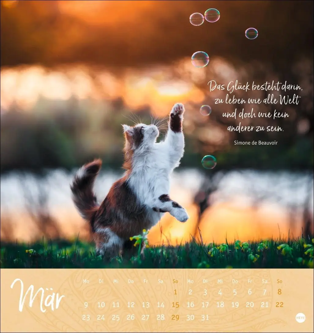 Bild: 9783756410101 | Tage voller Glück Postkartenkalender 2026 | Heye | Kalender | 13 S.