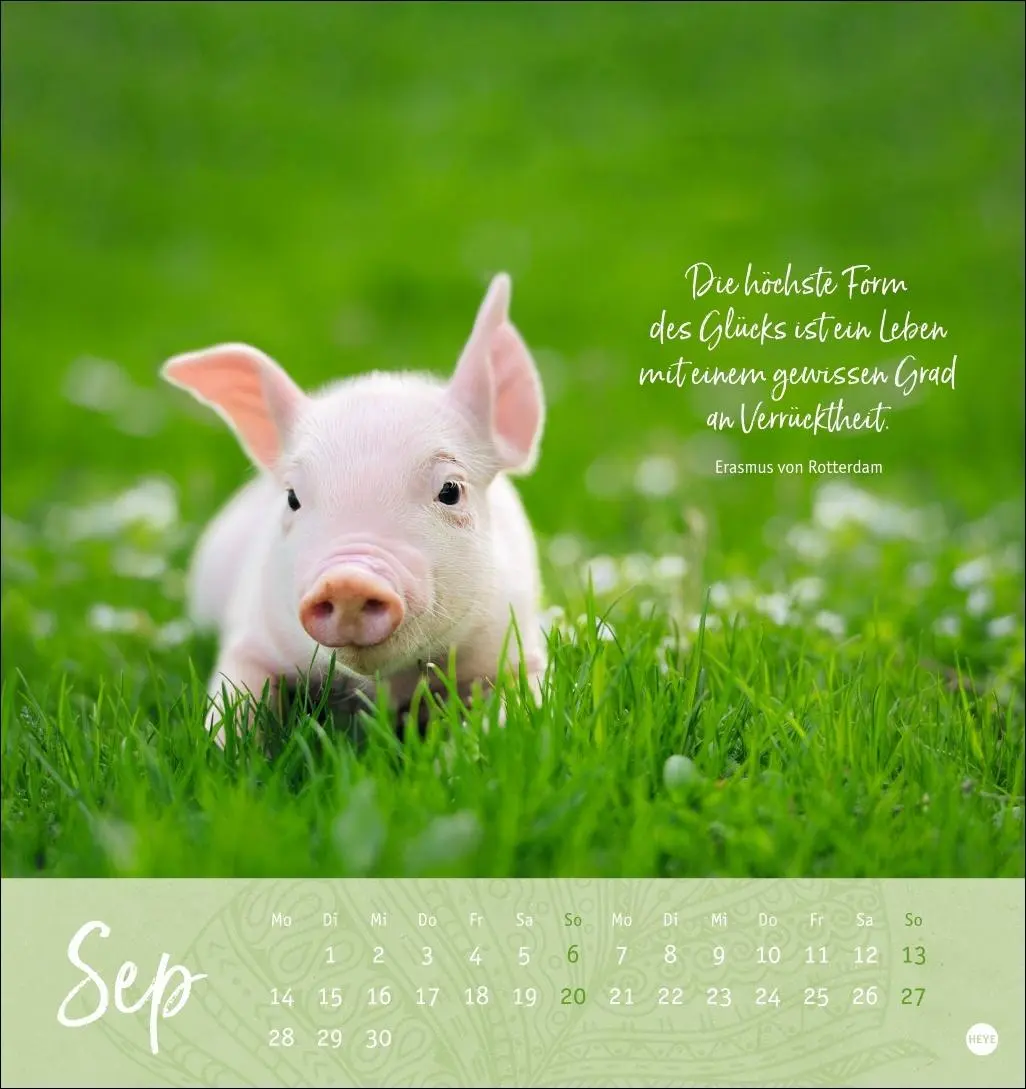 Bild: 9783756410101 | Tage voller Glück Postkartenkalender 2026 | Heye | Kalender | 13 S.
