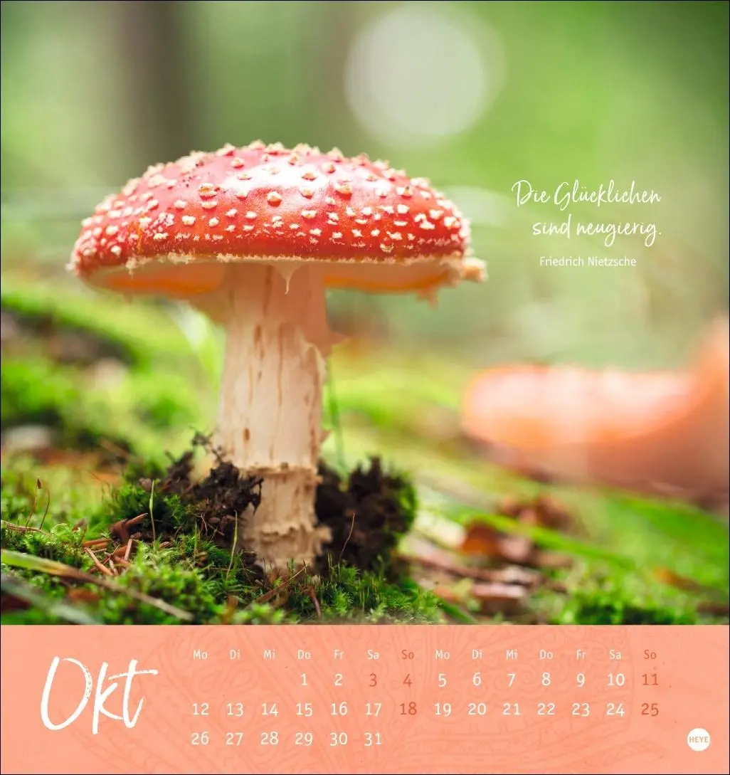 Bild: 9783756410101 | Tage voller Glück Postkartenkalender 2026 | Heye | Kalender | 13 S.