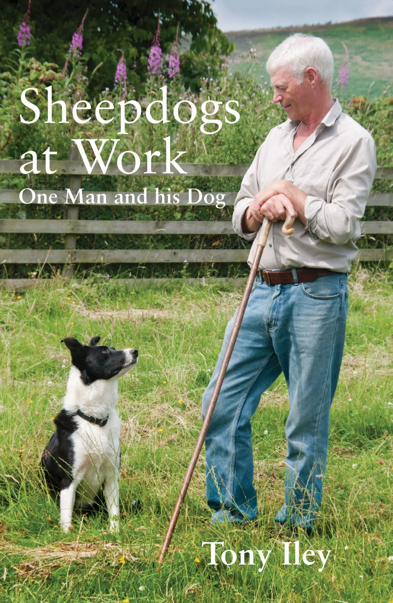Cover: 9780857160201 | SHEEPDOGS AT WORK | One Man and His Dog | Tony Iley | Taschenbuch