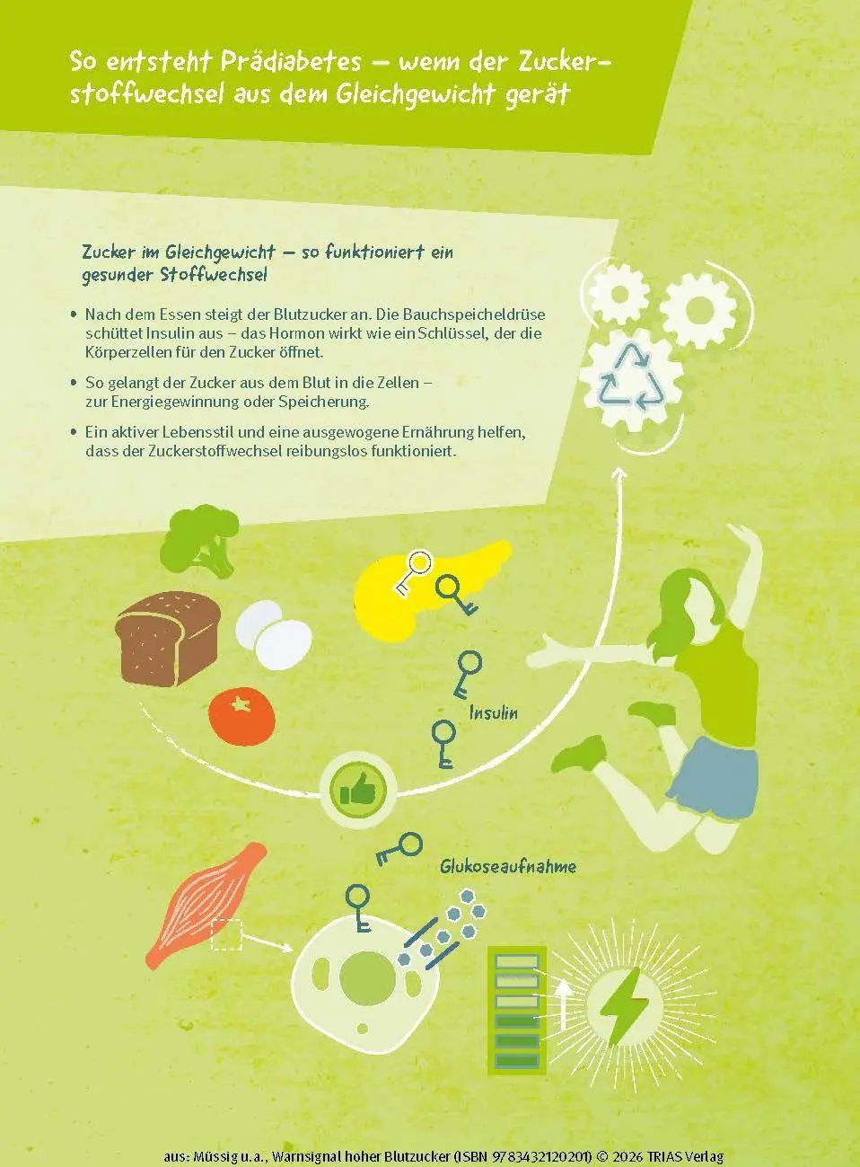 Bild: 9783432120201 | Warnsignal hoher Blutzucker | Karsten Müssig (u. a.) | Taschenbuch