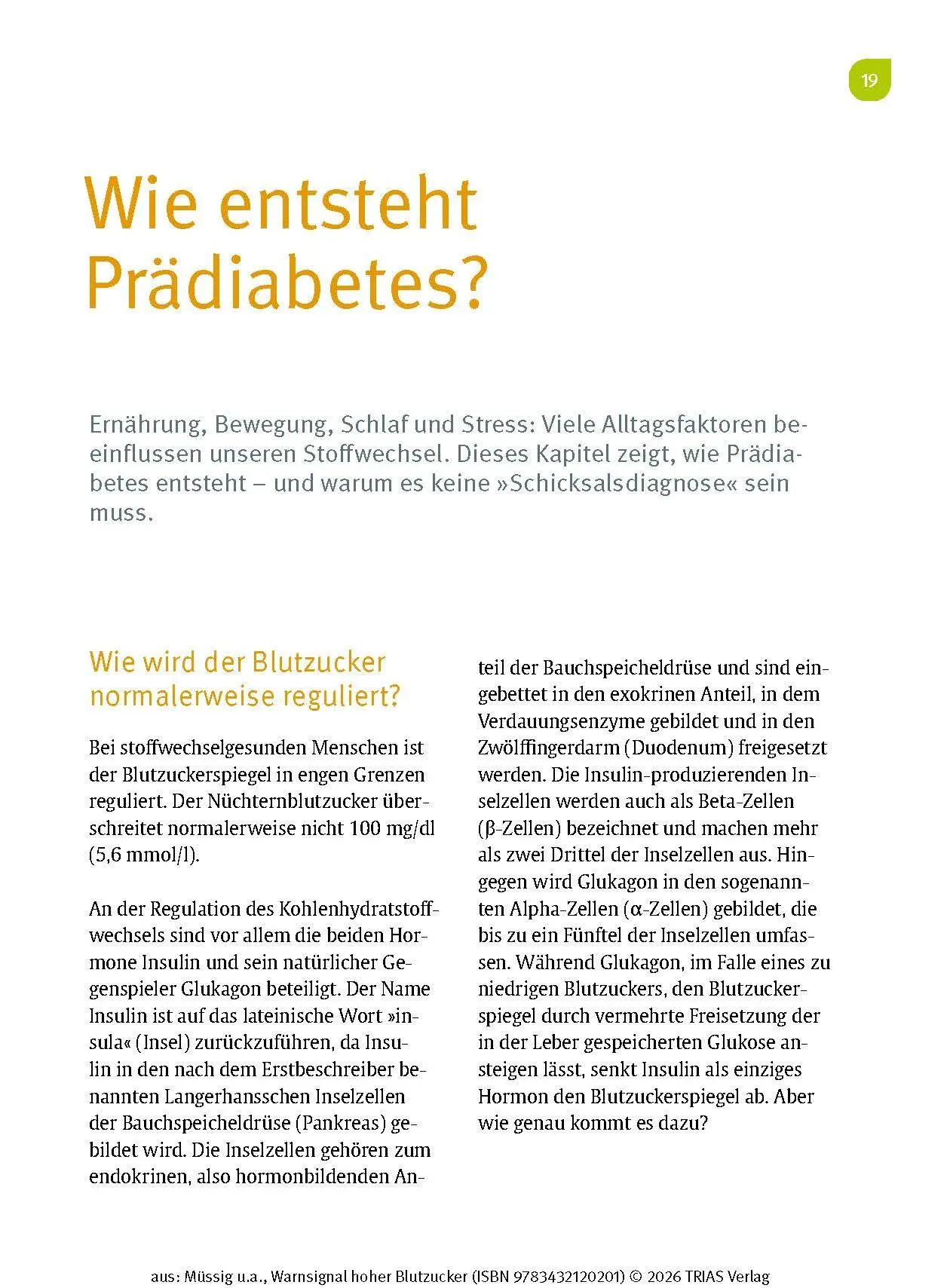 Bild: 9783432120201 | Warnsignal hoher Blutzucker | Karsten Müssig (u. a.) | Taschenbuch