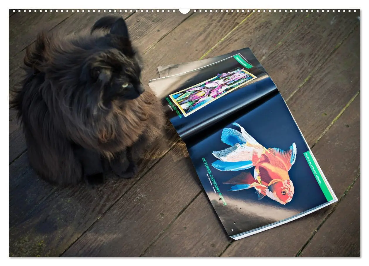 Bild: 9783435260201 | Kunst, Kultur und Mystik (hochwertiger Premium Wandkalender 2025...