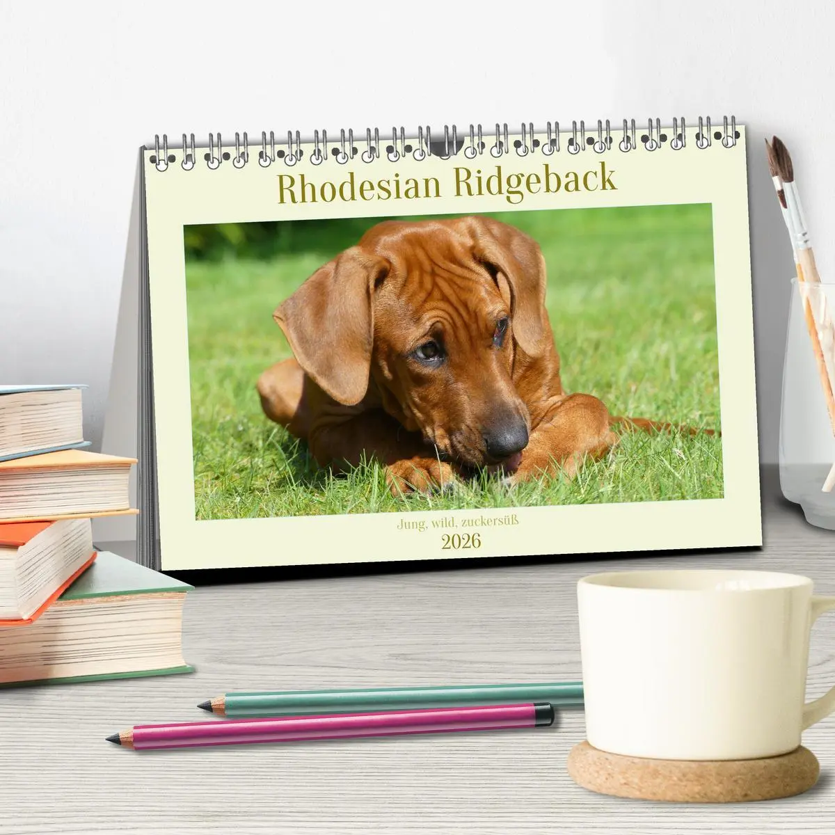 Bild: 9783457420201 | Rhodesian Ridgeback - Jung, wild, zuckersüß (Tischkalender 2026 DIN...