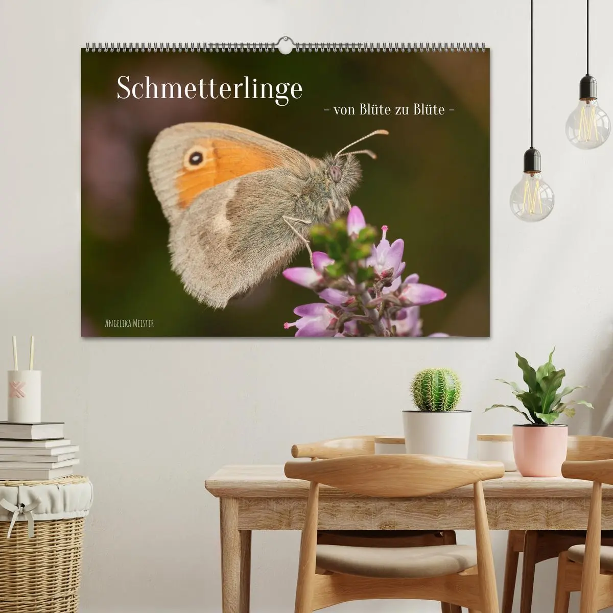 Bild: 9783457590201 | Schmetterlinge - von Blüte zu Blüte - (Wandkalender 2026 DIN A2...