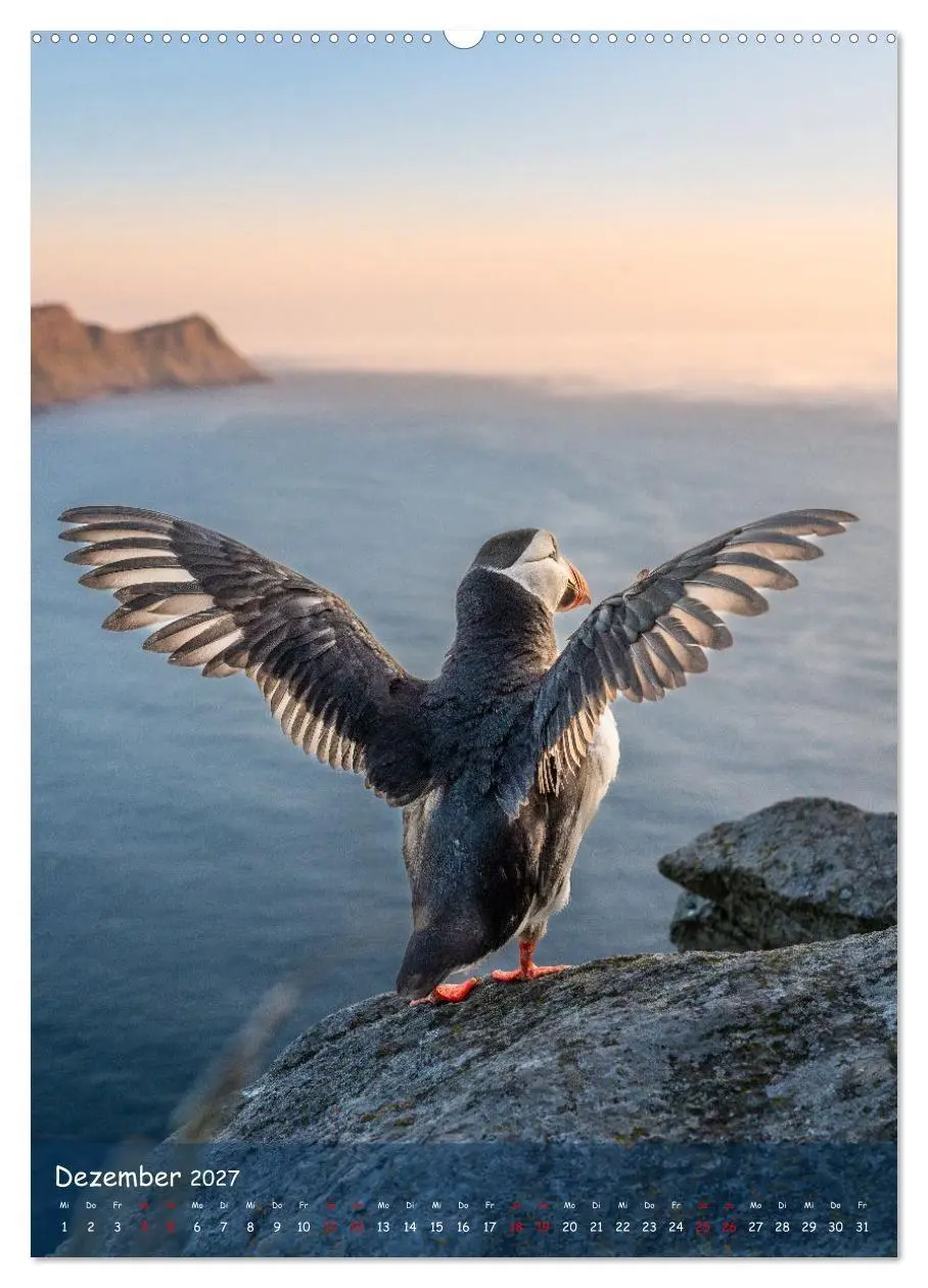 Bild: 9783569220201 | Naturerlebnis Puffin (Wandkalender 2027 DIN A2 hoch), CALVENDO...