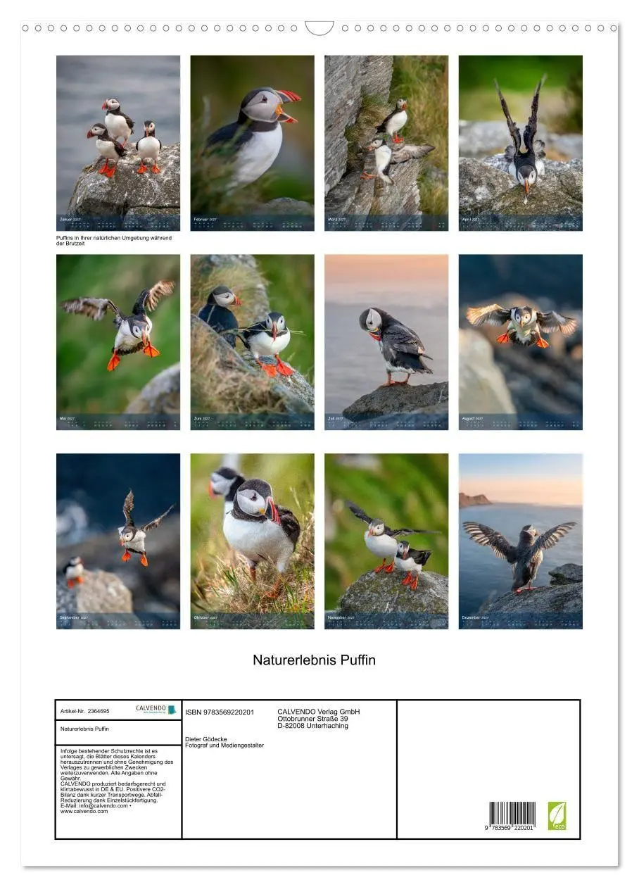 Bild: 9783569220201 | Naturerlebnis Puffin (Wandkalender 2027 DIN A2 hoch), CALVENDO...