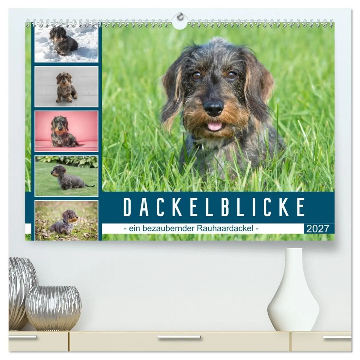 Cover: 9783569530201 | Dackelblicke - ein bezaubernder Rauhaardackel (hochwertiger Premium...