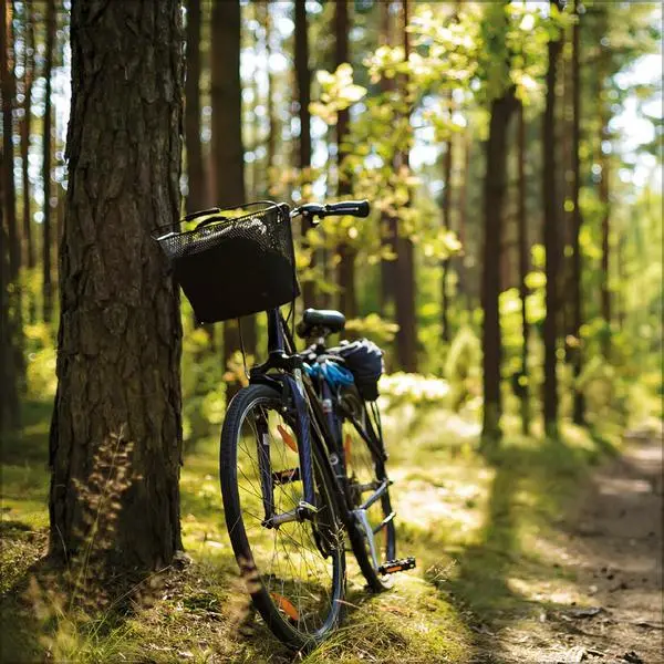 Bild: 9783731890201 | Bike Love 2026 | Verlag Korsch | Kalender | 13 S. | Deutsch | 2026