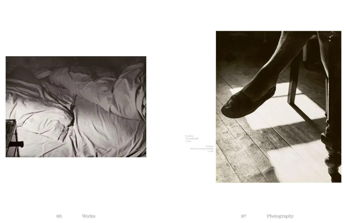 Bild: 9783775760201 | Raoul Hausmann (1886-1971). Vision. Provocation. Dada. | Buch | 304 S.
