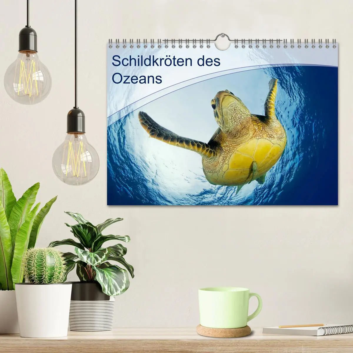 Bild: 9783516050301 | Schildkröten des Ozeans (Wandkalender 2026 DIN A4 quer), CALVENDO...