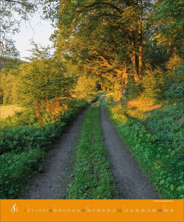 Bild: 9783819300301 | Augenblicke im Wald 2027 | Verlag Korsch | Kalender | Spiralbindung