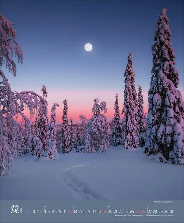 Bild: 9783819300301 | Augenblicke im Wald 2027 | Verlag Korsch | Kalender | Spiralbindung