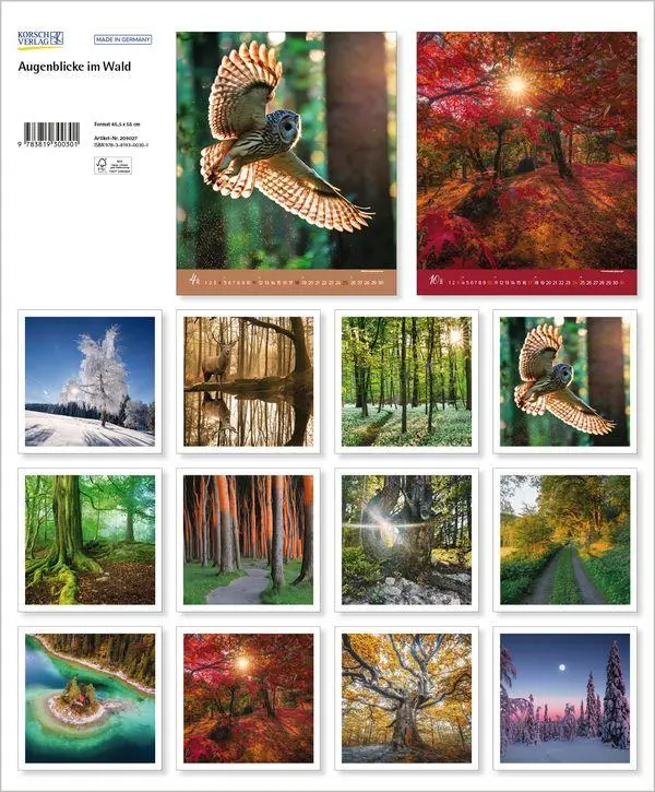 Bild: 9783819300301 | Augenblicke im Wald 2027 | Verlag Korsch | Kalender | Spiralbindung