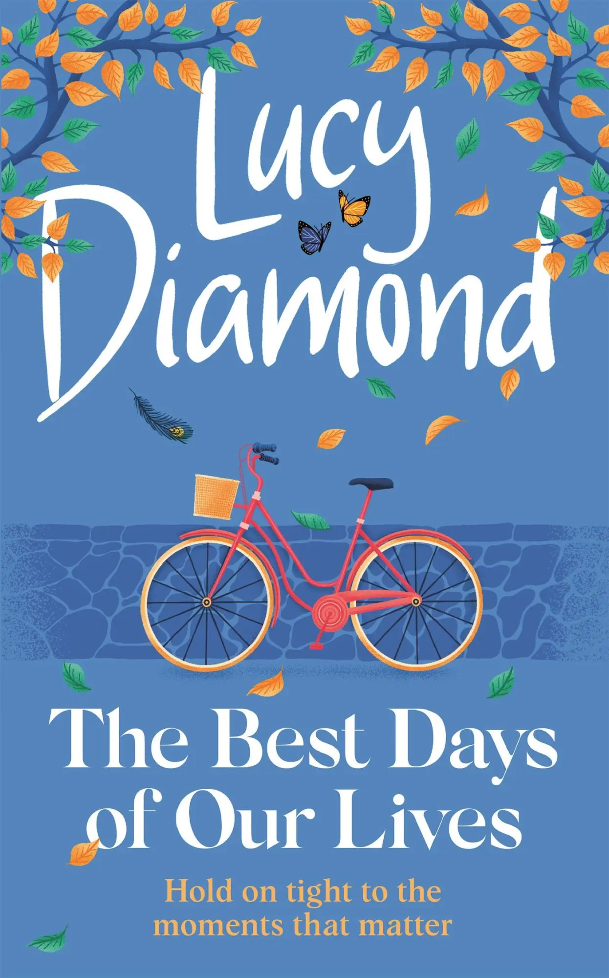 Cover: 9781529420401 | The Best Days of Our Lives | Lucy Diamond | Taschenbuch | 2023
