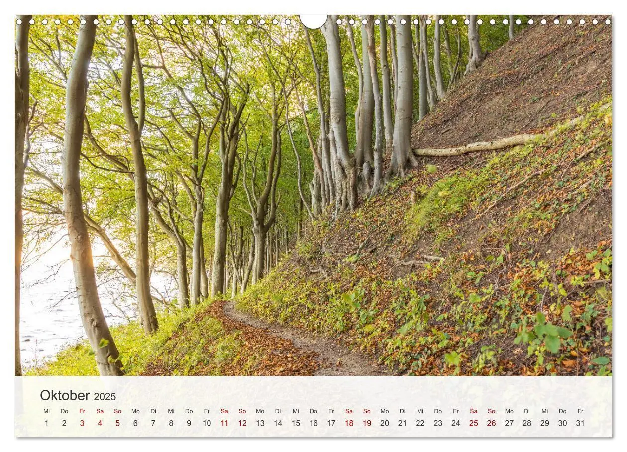 Bild: 9783435000401 | Natürliches Rügen und Hiddensee (Wandkalender 2025 DIN A3 quer),...
