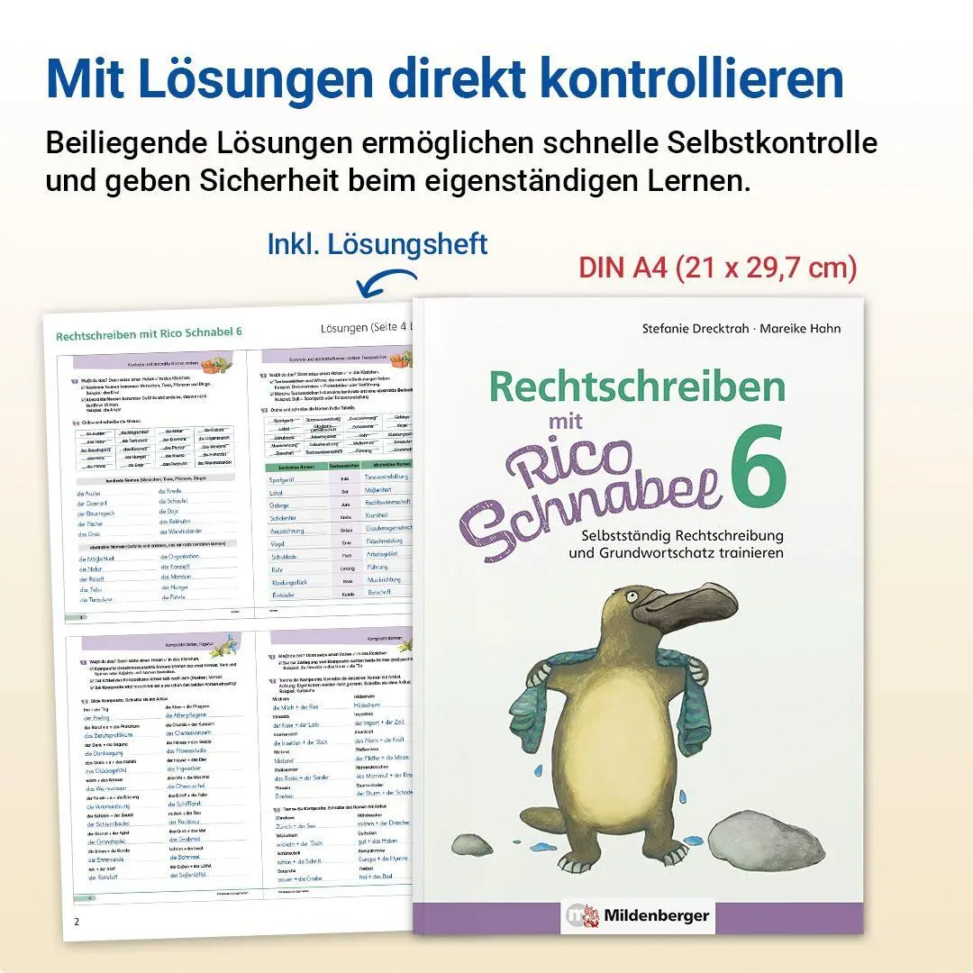 Bild: 9783619620401 | Rechtschreiben mit Rico Schnabel, Klasse 6 | Drecktrah (u. a.) | 72 S.