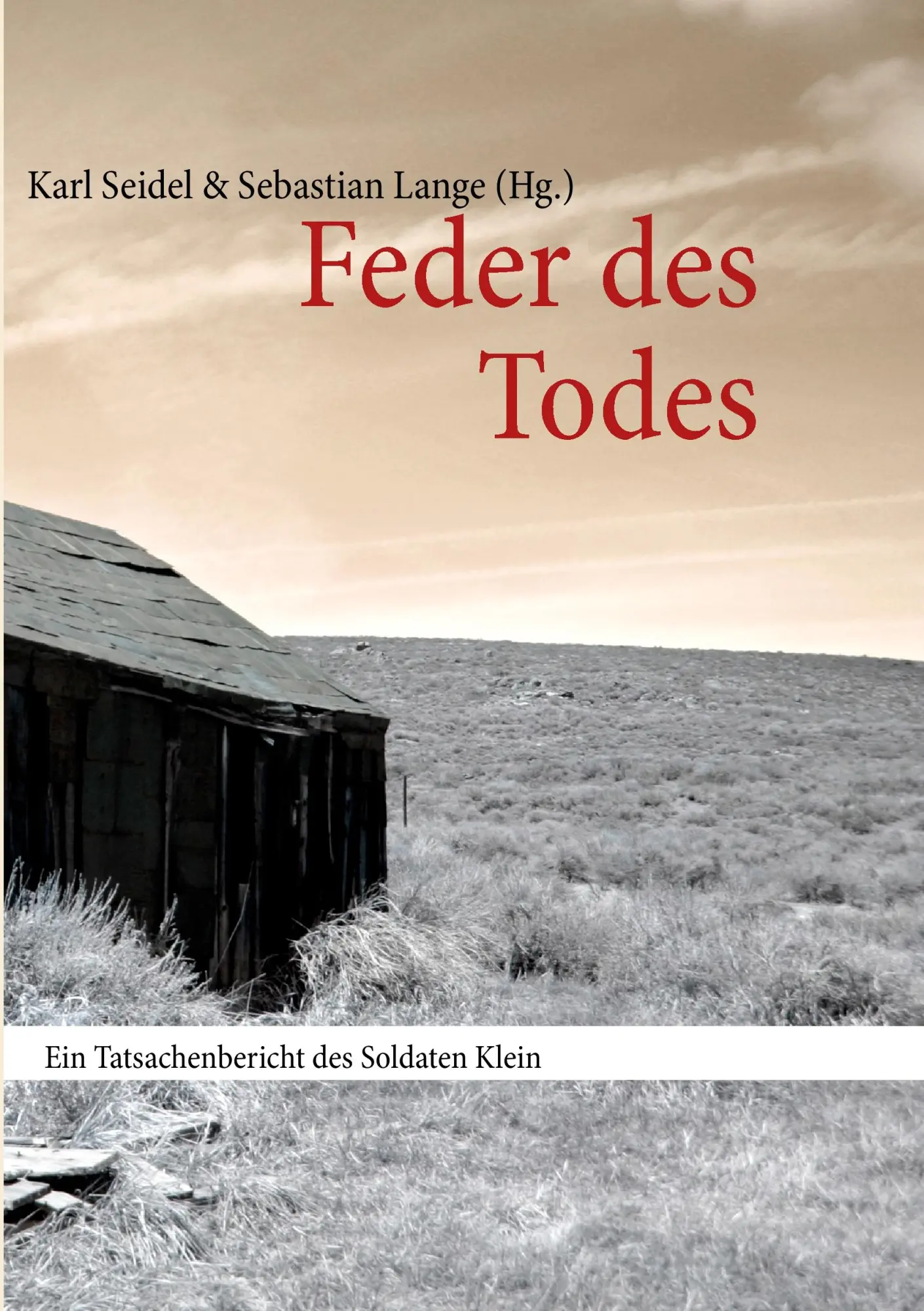 Cover: 9783844800401 | Feder des Todes | Ein Tatsachenbericht des Soldaten Klein | Seidel