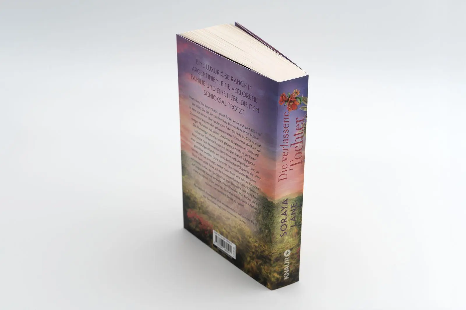 Bild: 9783426560501 | Die verlassene Tochter | Roman | Soraya Lane | Taschenbuch | 352 S.