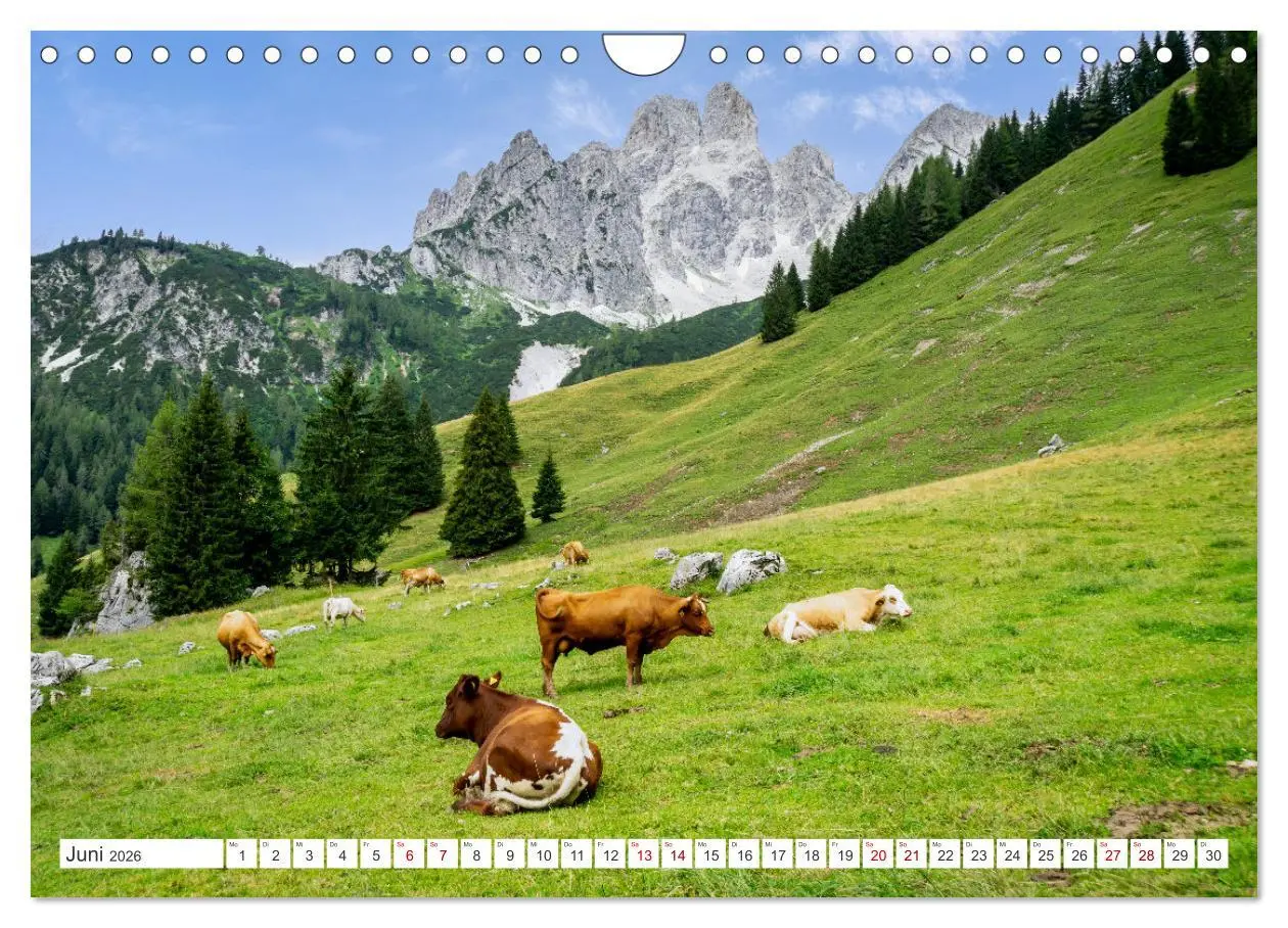 Bild: 9783457630501 | Das wunderbare Ramsau am Fuße des Dachsteins (Wandkalender 2026 DIN...