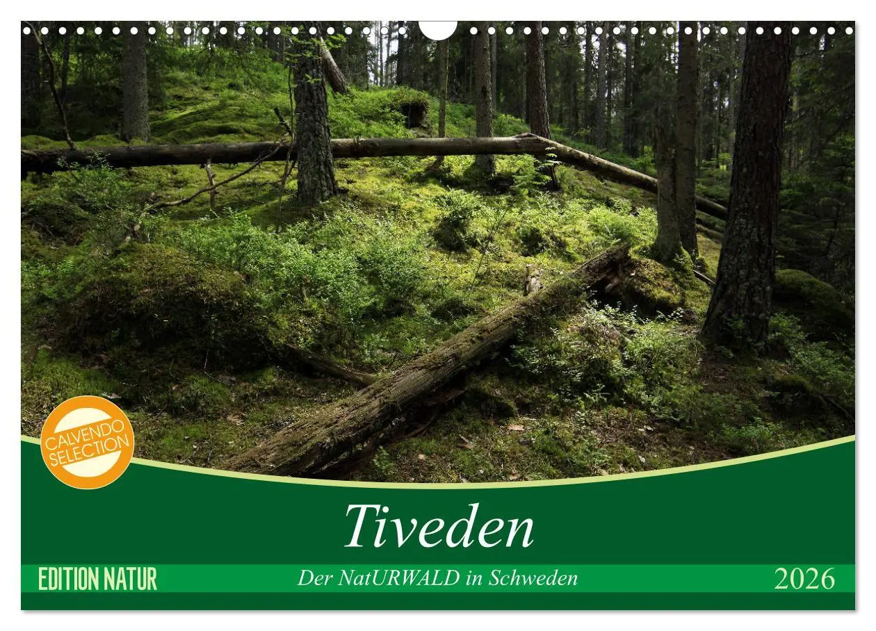 Cover: 9783457940501 | Tiveden, der NatURWALD in Schweden (Wandkalender 2026 DIN A3 quer),...