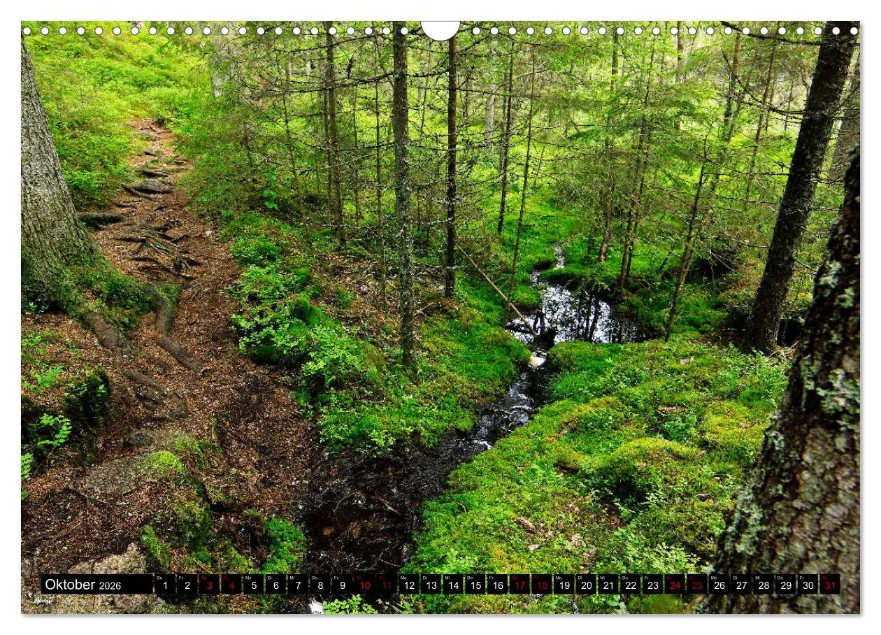 Bild: 9783457940501 | Tiveden, der NatURWALD in Schweden (Wandkalender 2026 DIN A3 quer),...