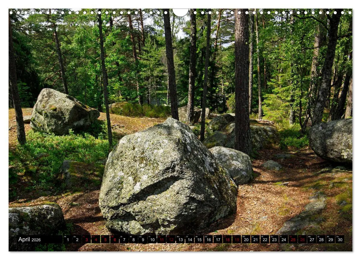 Bild: 9783457940501 | Tiveden, der NatURWALD in Schweden (Wandkalender 2026 DIN A3 quer),...