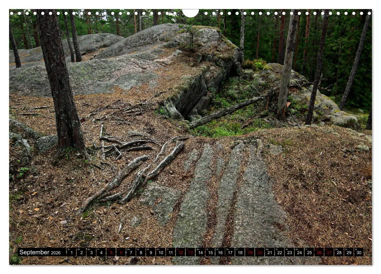 Bild: 9783457940501 | Tiveden, der NatURWALD in Schweden (Wandkalender 2026 DIN A3 quer),...