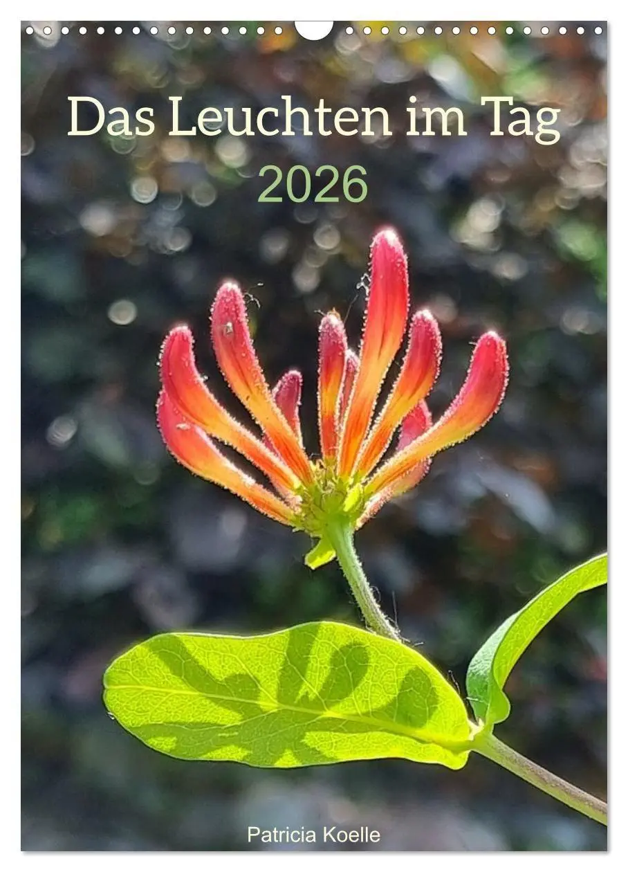 Cover: 9783516720501 | Das Leuchten im Tag (Wandkalender 2026 DIN A3 hoch), CALVENDO...