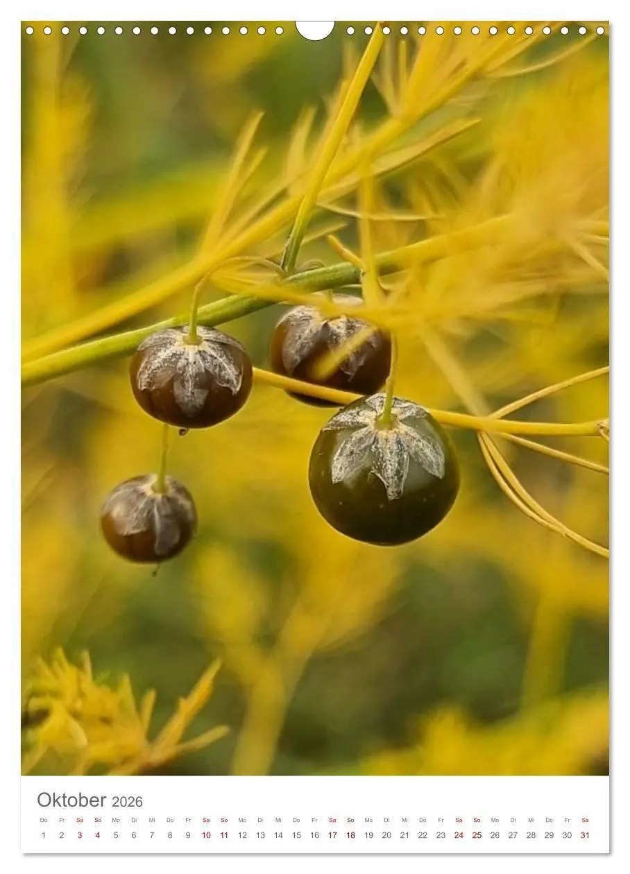 Bild: 9783516720501 | Das Leuchten im Tag (Wandkalender 2026 DIN A3 hoch), CALVENDO...