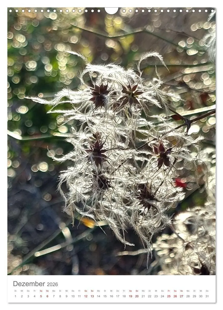 Bild: 9783516720501 | Das Leuchten im Tag (Wandkalender 2026 DIN A3 hoch), CALVENDO...