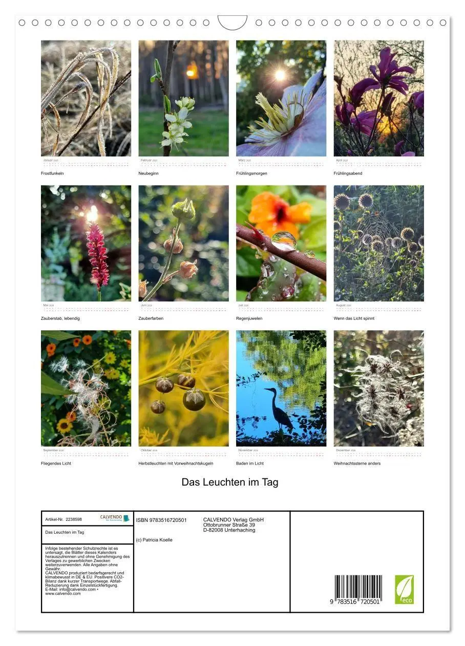 Bild: 9783516720501 | Das Leuchten im Tag (Wandkalender 2026 DIN A3 hoch), CALVENDO...