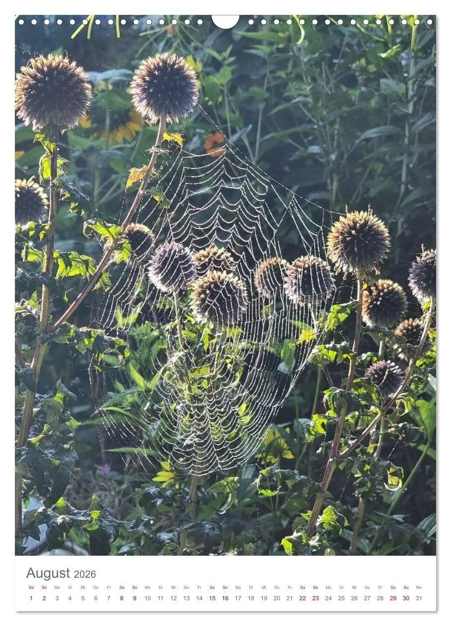 Bild: 9783516720501 | Das Leuchten im Tag (Wandkalender 2026 DIN A3 hoch), CALVENDO...