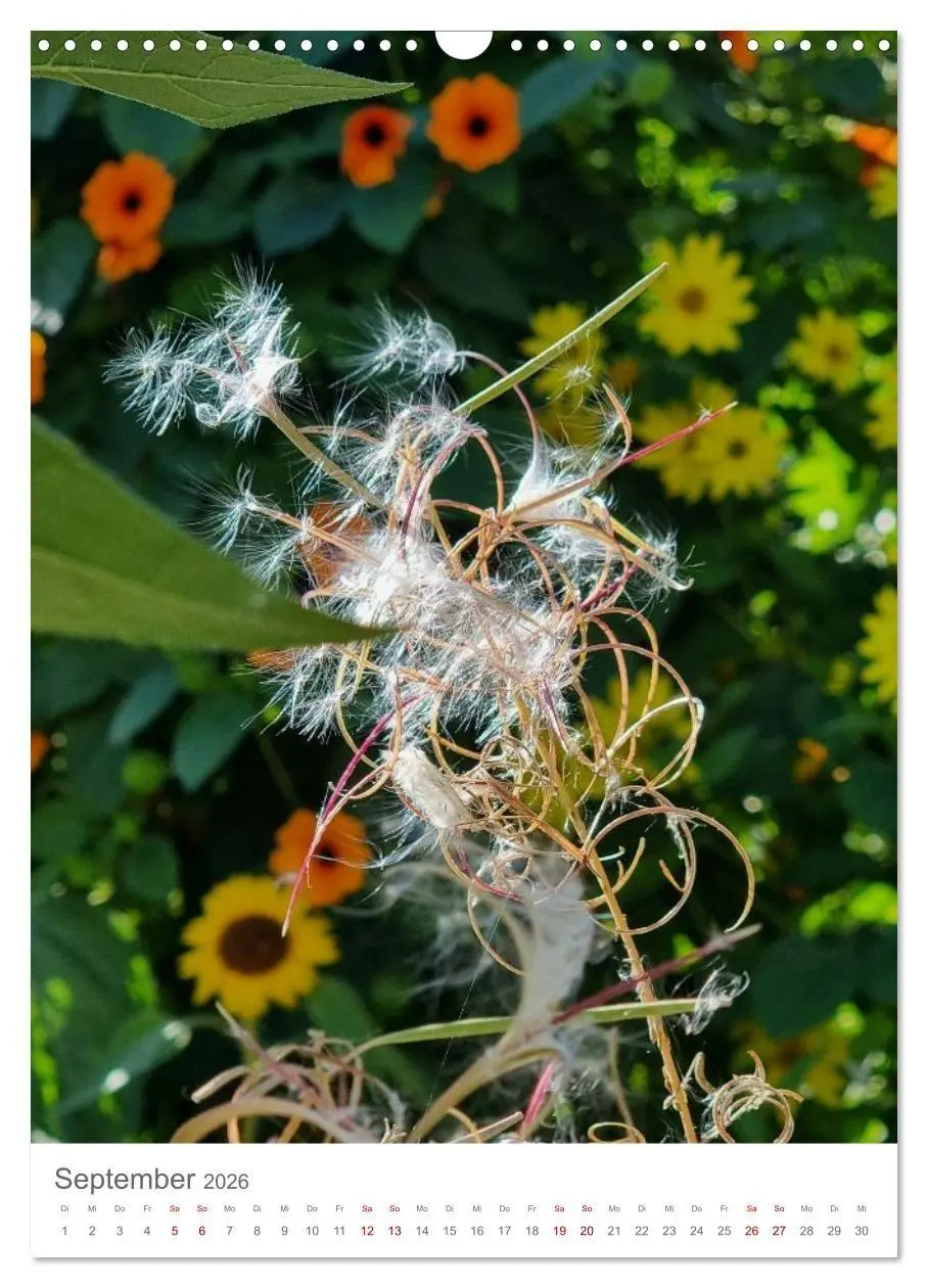 Bild: 9783516720501 | Das Leuchten im Tag (Wandkalender 2026 DIN A3 hoch), CALVENDO...
