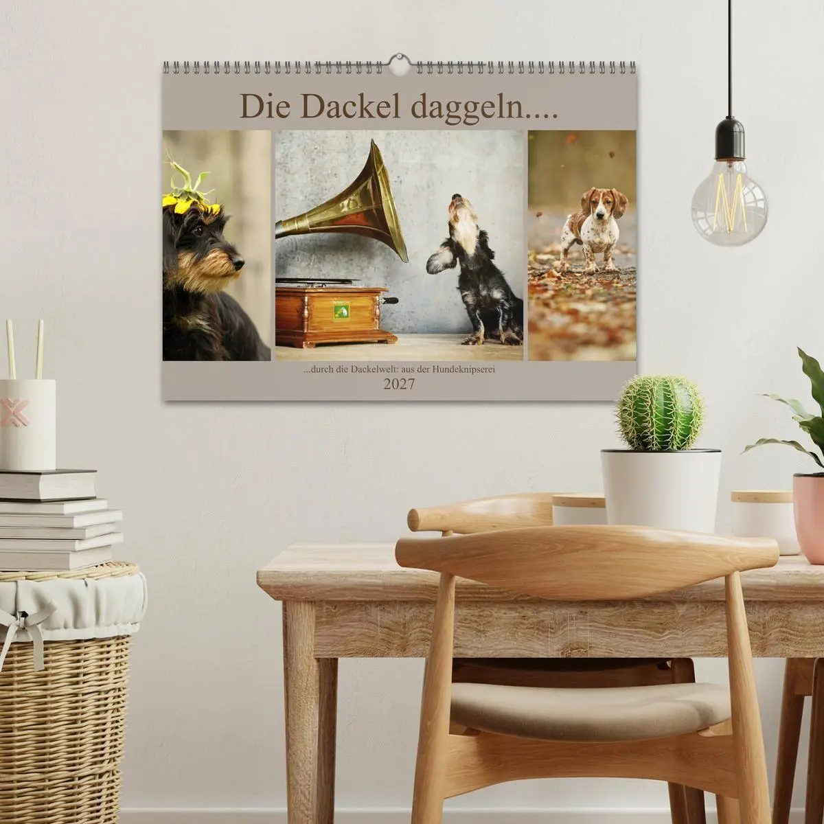 Bild: 9783569810501 | Die Dackel daggeln.... (Wandkalender 2027 DIN A3 quer), CALVENDO...